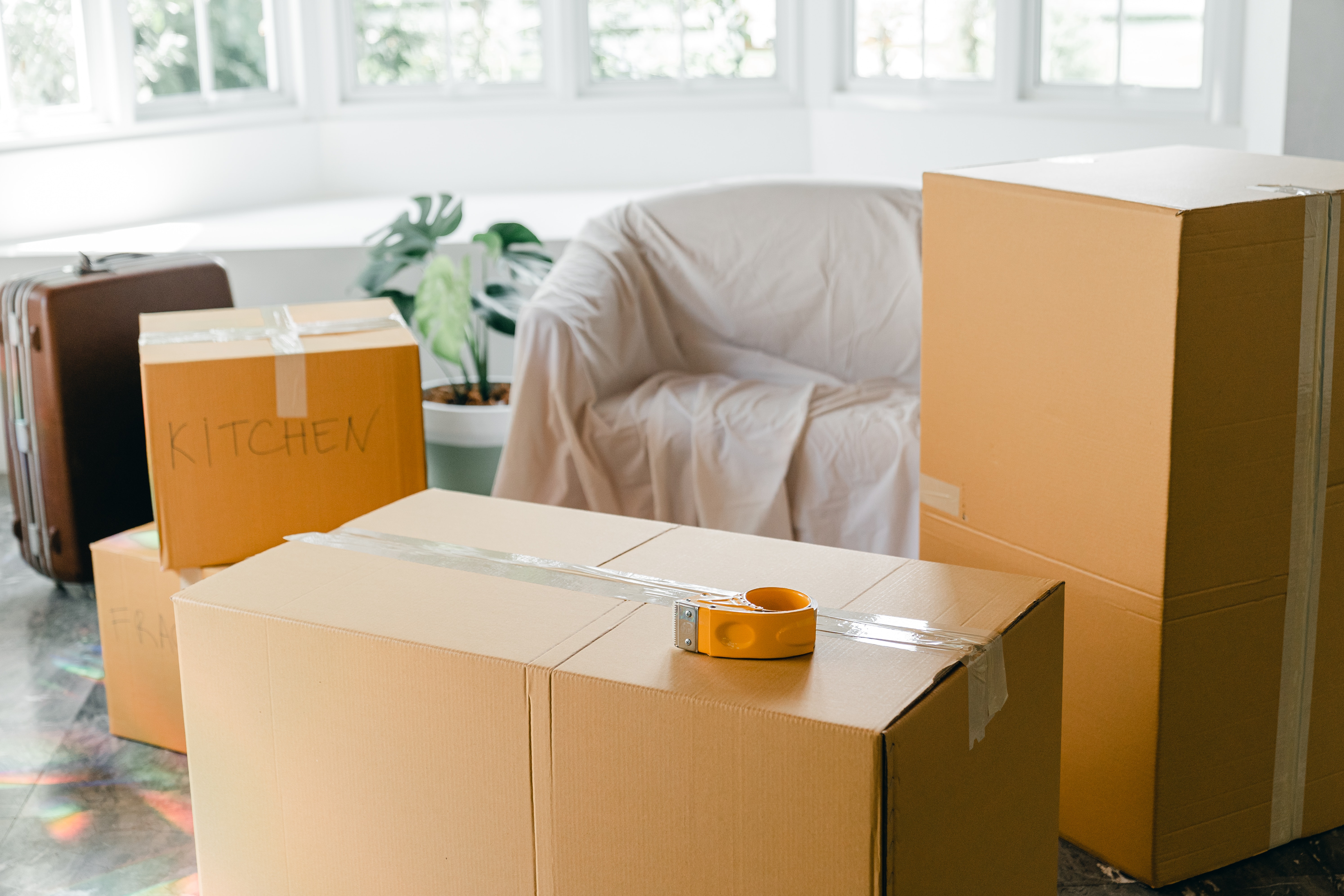Professional Movers Making Sure Boxes Are Properly Packed in Sugar Land, Houston